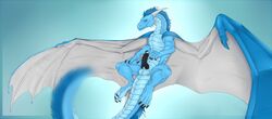 2017 balls blue_eyes blue_hair claws digital_media_(artwork) dragon erection feral fur hair horn knot male male_only mane neverneverland nude penis scales seregir seregir_draike simple_background solo western wings wingspan