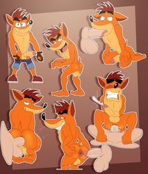 crash bandicoot from crash (series) by jerseydevil