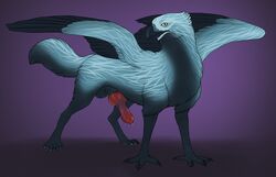 2017 4_toes animal_genitalia animal_penis avian balls beak black_balls black_beak black_eyes black_feathers black_fur blue_feathers blue_pawpads canine canine_penis claws digital_media_(artwork) feathered_wings feathers feral fluffy fluffy_tail front_view full-length_portrait fur gryphon looking_at_viewer male male_only mammal pawpads paws penis portrait precum purple_background quadruped red_penis sheath simple_background solo spread_wings talons thaine toe_claws toes wings yaroul yellow_sclera