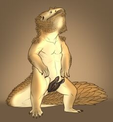 2017 5_fingers 5_toes animal_genitalia animal_penis anthro anthro_only bearded_dragon black_penis brown_background brown_eyes brown_scales brown_skin claws digital_media_(artwork) digitigrade diphallia diphallism erection front_view furry genital_slit hemipenes lizard looking_up male male_only multi_penis no_humans nude penis precum reptile scales scalie simple_background slit solo standing toe_claws toes white_skin yaroul