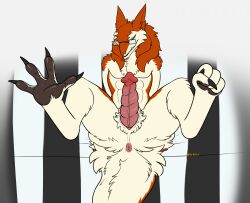 abs anus claws erection eyewear genitals glasses hi_res looking_at_viewer male may825 nude pawpads penis sergal shawny_(shawnvallance) solo