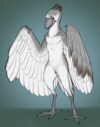 2017 4_toes animal_genitalia anthro avian beak bird black_eyes blue_background cloaca digital_media_(artwork) feathered_wings feathers front_view full-length_portrait grey_beak grey_feathers grey_sclera looking_at_viewer male nude portrait realistic_wings shoebill simple_background smile solo standing stork talons toes white_feathers wings yaroul