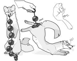 anal_bead_pull anal_beads anal_beads_in_vagina animal_genitalia animal_vulva blush breath canine_genitalia canine_vulva disembodied_hand female feral genitals greyscale gulonine looking_at_viewer mammal marten monochrome multi_nipple mustelid musteline nipples onomatopoeia penetration pine_marten servali_sketch sex_toy sex_toy_in_vagina sex_toy_insertion simple_background solo sound_effects stomach_bulge text vaginal_penetration