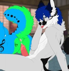 after_sex animal_genitalia anus ass backsack balls blue_body bodily_fluids callenh canid canine canis cum cum_in_ass cum_inside dingo duo fox genital_fluids genitals green_body grey_body hi_res island_fox jayjay_idingo knot looking_at_viewer male male/male mammal musical_note musical_symbol nude penis presenting presenting_anus raised_tail smile symbol tail tongue urocyon