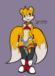 2017 arashidrgn barely_clothed blue_eyes bulge canine clothing fox fur gloves male male_only mammal multi_tail penis simple_background sonic_(series) tails tails_(disambiguation) white_fur yellow_fur