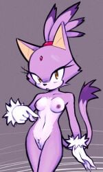 blaze_the_cat sega solo sonic_(series) sonic_the_hedgehog_(series) tagme unknown_artist