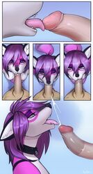 2017 anthro balls breasts canine collar comic cum cumshot duo ejaculation erection fellatio female femsub fox fur hair humanoid_penis hyattlen looking_at_viewer male mammal nipples nude open_mouth oral oral_penetration oral_sex orgasm penetration penis pink_fur purple_eyes purple_hair selene_leni sex simple_background straight submissive_female teeth tongue tongue_out