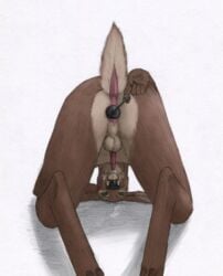 all_fours anal anal_beads anal_masturbation anal_sex animal_genitalia animal_penis anthro anus ass_up backsack balls brown_fur cervine cervine_penis cum cum_on_face cum_on_self deer difetra erection fur male mammal masturbation open_mouth penetration penis raised_tail rear_view sex_toy solo toying_self