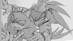 jet the hawk from sonic (series) by einnharder