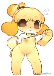 animal_crossing anthro breasts canid canine canis clothed clothing clothing_lift domestic_dog female flashing flustered genitals hi_res isabelle_(animal_crossing) mammal nintendo pussy shirt shirt_lift shy small_breasts solo stitcheddolls topwear video_games