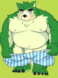 anthro aumy_wani belly blush boxers_(clothing) canid canine canis clothing domestic_dog eyebrows flaccid fur genitals green_body green_fur hi_res lifewonders live_a_hero male mammal mokdai moobs navel nipples overweight penis solo thick_eyebrows underwear undressing