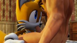 3d anthro blue_eyes candyhead fellatio fox furry gay human sonic_(series) tails white_fur yaoi yellow_fur