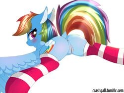 2017 absurd_res anus ass blue_feathers blue_fur blush clitoris clothing crashgall cutie_mark digital_media_(artwork) equine eyelashes feathered_wings feathers female feral friendship_is_magic fur hair hi_res inner_ear_fluff legwear looking_at_viewer looking_back lying mammal multicolored_hair multicolored_tail my_little_pony on_front pegasus pink_eyes presenting presenting_hindquarters pussy quadruped rainbow_dash_(mlp) rainbow_hair rainbow_tail rear_view simple_background solo stockings striped_clothing striped_legwear striped_stockings stripes url white_background wings