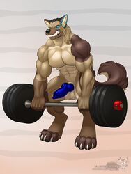 abs absurd_res animal_genitalia animal_penis balls barbell biceps big_balls big_feet big_muscles big_penis black_hair black_nose blue_eyes blue_penis brown_fur canine canine_penis claws clenched_teeth deadlift edan_braveblitz erection exercise fangs fur german_shepherd hair hi_res knot male male_only mammal muscular nude pecs penis scar solo standing tan_fur teeth toe_claws triceps vallhund weightlifting weights white_fur workout