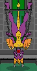 absurd_res activision bondage bondage bound female hi_res nidrog rule_63 spyro_the_dragon