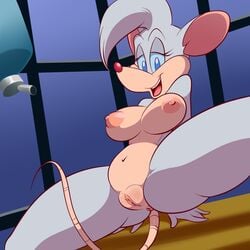 2017 animaniacs anthro anus areola billie blue_eyes breasts clitoral_hood clitoris female half-closed_eyes lonbluewolf looking_at_viewer mammal mouse nipples open_mouth pinky_and_the_brain plump_labia presenting presenting_anus presenting_pussy pussy rodent solo spread_legs spreading teeth tongue warner_brothers