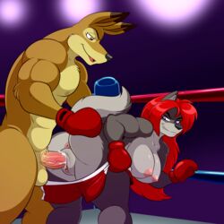 1boy 1girls 2017 anus areola ass balls big_ass big_breasts big_butt big_thighs blue_eyes boxing boxing_gloves boxing_ring breasts brown_eyes butt canine cum cum_in_pussy cum_inside defeated duo female female/male fighting_ring gloves hair half-closed_eyes kangaroo kangaroo_boy lonbluewolf long_hair looking_back male male/female mammal marsupial mixed_boxing nipples open_mouth original original_characters penetration penis pink_nipples prize pussy red_boxing_gloves red_gloves red_hair red_shorts sex shorts shorts_down sport straight tail teeth thick thick_ass thick_hips thick_thighs tongue vagina vaginal vaginal_penetration wide_hips wolf wolf_girl