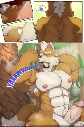 bodybuilder chaz_the_red_panda flexing fox_mccloud furry male male_only muscles muscular muscular_arms muscular_male nipples penis star_fox yawn yawning