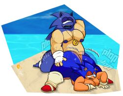 alpha_channel anthro ass balls belly big_butt blue_body blue_nipples clothing digital_media_(artwork) duo eulipotyphlan fingerless_gloves fingerless_gloves_only genitals glans gloves gloves_only hair handwear handwear_only hedgehog hi_res huge_butt jewelry male male/male male_penetrated male_penetrating male_penetrating_male mammal mostly_nude navel nipples outside overweight overweight_male penetration penis ring sega selfcest sex simple_eyes slyden'in sonic_the_hedgehog sonic_the_hedgehog_(series) square_crossover textless thick_thighs tongue wide_hips