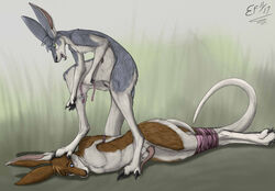 anatomically_correct anthro balls blue_eyes bound collar domination erection female femdom foot_on_face green_eyes kangaroo lizet male mammal marsupial on_ground penis pouch straight submissive submissive_male tail_bondage tapering_penis