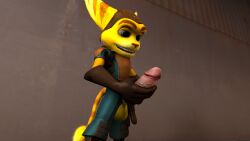 1boy 2017 3d balls erection gay male male_only penis penis_out penis_through_fly ratchet_(ratchet_and_clank) ratchet_and_clank solo source_filmmaker tompi_(emit) veiny_penis yaoi