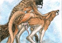 anal anal_sex animal_genitalia anthro balls black_fur brown_fur cum cum_in_ass cum_inside evan fur kangaroo lizet male mammal marsupial nathan_granier open_mouth orange_fur pawpads penetration rodent sex squirrel tan_fur traditional_media_(artwork) vent yaoi