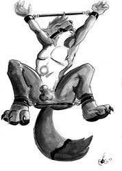 1boy 2017 anthro arms_up ball bit_gag bondage bound canine fur furry gag gagged handcuffs male male_only mammal monochrome on_back ray-bleiz shackles sheath solo spreader_bar testicles traditional_media_(artwork) white_background wolf