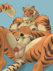 ass balls blue_background blue_eyes feline flaccid guardian_tiger jewelry lin_hu male male_only mammal muscular necklace nekojishi nipples penis possumpecker simple_background sitting solo tiger watermark