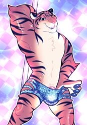 anthro bulge clothed clothing disney feline fur lizardbat_(artist) male male_only mammal muscular one_eye_closed penis penis_base pole smile stripes stripper_pole tiger tiger_dancer_(zootopia) topless wink zootopia zootopia_shorts