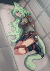 2024 animal_ears arknights bondage bound cat_ears cat_girl cat_tail female gag green_eyes green_hair harmonie_(arknights) hi_res long_hair looking_at_viewer lying rope rope_bondage solo tail tied tied_up yami071