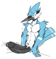 anthro athletic athletic_male avian big_penis bird blue_jay bodily_fluids corvid genital_fluids genitals hi_res huge_cock jay_(bird) l-tech-e-coyote-l male new_world_jay oscine passerine penis precum solo sweat zack_(phosphoruscrow)