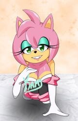 amy_rose amy_the_bat bodysuit breasts neckline rouge_the_bat_(cosplay) seductive sonic_(series) spandex_suit