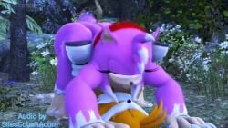 1futa 1guy 3d 3d_animation amy_rose amy_rose_the_werehog anal anal_sex animated anthro countersfm futanari_penetrating_male jellyfishjubilee male mating_press night pink_fur sonic_(series) sonic_the_hedgehog_(series) sound sound_edit sound_effects sound_warning tagme tails_the_fox video voice_acted yellow_fur