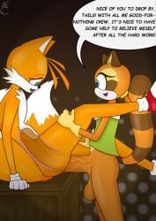 marine the raccoon from sonic (series) by nekojaanai