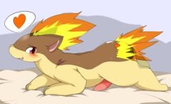 2017 absurd_res bed blush edit erection feral fire heart hi_res male nekonade nintendo on_bed penis pink_penis pokémon_(species) pokemon pokemon_(species) quilava shiny_pokemon smile solo tapering_penis under_covers video_games