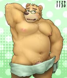 2017 anthro bear belly blush brown_fur eyewear fur glasses male male_only mammal nazimi00 nipples overweight overweight_male penis solo tokyo_afterschool_summoners towel volos