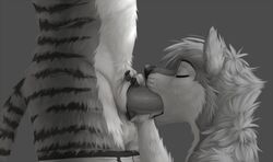 2017 anthro canine closed_eyes digital_media_(artwork) duo feline fellatio fur greyscale male mammal monochrome mutt_(character) nude oral penis sex striped_fur stripes tiger wagnermutt yaoi yekkusu