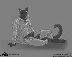 anthro balls clothing erection feline hoodie invalid_tag male male_only mammal panther penis redcoatcat salonkitty spikes