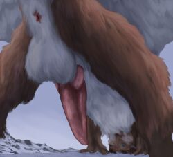 2022 anus ass balls blue_sclera brown_body brown_fur countershade_fur countershading day erection feral fur genitals hi_res knot looking_at_viewer male male_only open_mouth outside penis presenting presenting_hindquarters quadruped rakess rear_view snow solo tongue tongue_out white_balls white_body white_countershading white_fur