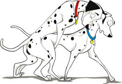 101_dalmatians canine collar dalmatian disney female feral feral_on_feral furry happy happy_sex male mammal perdita pongo puptownfunk sex