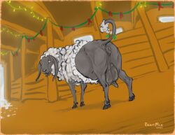 ass barn beastmilk bovid caprine crotchboobs decoration ewe female feral festive genitals half_shorn huge_crotchboobs inside mammal partially_shorn pussy sheep udders