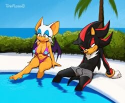 big_breasts bikini breasts eyeshadow female furry lipstick male pool poolside rouge_the_bat sega shadow_the_hedgehog sonic_(series) totesfleisch8