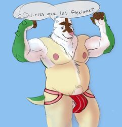 2016 anthro armadillo balls barazoku barely_visible_genitalia belly bulge carpemortem_(artist) chesnaught clothing elijah_ortiz furry jockstrap male male_focus male_only mammal nintendo nipples no_humans pecs penis pokémon_(species) pokemon raised_arm simple_background solo underwear video_games