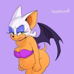 1girls angry angry_expression bottomless bra cleavage female furry pregnant rouge_the_bat sega sonic_(series) totesfleisch8 wings