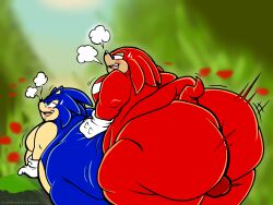 2boys bhm blue_fur blue_hair blue_hair_bottom blue_quills domination echidna fat fat_ass fat_sex floofyboyetime gay gay_sex hedgehog huge_ass knuckles_the_echidna light_hair_on_dark_hair male massive_ass mobian_(species) mobian_echidna mobian_hedgehog morbidly_obese morbidly_obese_male obese obese_male overweight overweight_male red_fur red_hair red_hair_on_blue_hair red_hair_top red_quills sega sex sonic_(series) sonic_the_hedgehog sonic_the_hedgehog_(series) ssbhm superchub yaoi