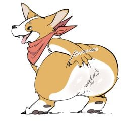 1:1 ambiguous_gender anthro anus aoihinoki1024 ass big_butt canid canine canis domestic_dog hand_on_butt hankerchief happy herding_dog humanoid looking_back mammal pastoral_dog pawpads presenting presenting_hindquarters signature simple_background solo tongue tongue_out welsh_corgi white_background