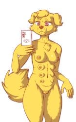 5_fingers 8_breasts acyace animal_genitalia animal_pussy anthro areola biped bird_dog breasts canid canine canine_genitalia canine_pussy canis cellphone domestic_dog electronics female fingers floppy_ears fur genitals golden_retriever holding_cellphone holding_object holding_phone holding_smartphone hunting_dog mammal multi_breast nipples phone pussy retriever simple_background smartphone solo tail valerie_debars white_background yellow_body yellow_fur