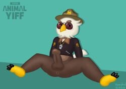 absurd_res accipitrid accipitriform anthro avian bird blush clothed clothing eagle erection eyewear glasses hi_res honeybud male partially_clothed pixile_studios sgt_o'prey_(super_animal_royale) solo spread_legs spreading super_animal_royale super_animal_yiff whistle_(object) whistle_around_neck