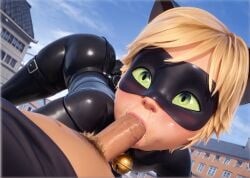 adrien agreste from miraculous ladybug
