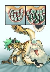 anal anal_sex anthro balls bed belly belly_expansion belly_inflation big_belly cheetah comic egg egg_from_ass egg_in_ass egg_laying eggnant erection expansion felid feline felix_(roadd) furniture genitals hi_res huge_belly hyper hyper_belly inflation male male_only male_pregnancy mammal markings naked nude ovipositor_in_ass penetration penis pregnant_anthro pregnant_male rapid_pregnancy sequence solo spots spotted_body stretched_anus suffering tentacle tentacle_in_ass tentacle_penetration ulvbecker